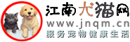 logo图片